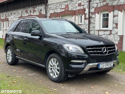 Mercedes-Benz ML 350 BlueEff 4-Matic