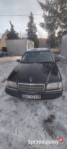 Mercedes w202