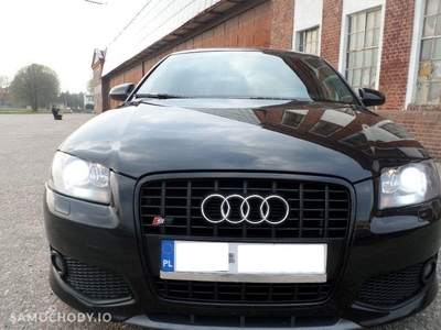 Używane Audi A3 8P (2003-2012) Skóra Xenon Alusy CD el.szyby