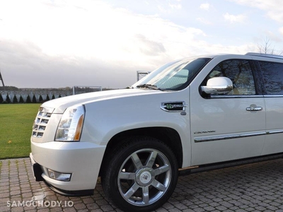 Używane Cadillac Escalade 8 osob DVD Full Wersja PL