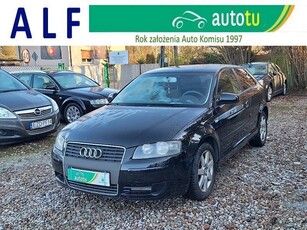 Audi A3 II (8P) *Zarejestrowana*1,9 TDi*105KM*