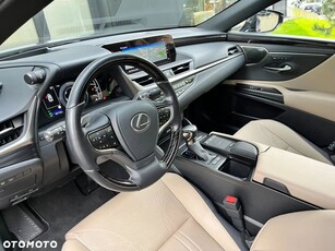 Lexus ES 300h Omotenashi