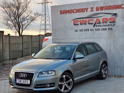 Audi A3 8P Hatchback 3d 1.4 TFSI 125KM 2010