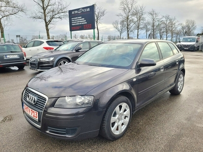 Audi A3 8P Hatchback 3d 1.9 TDI 105KM 2007