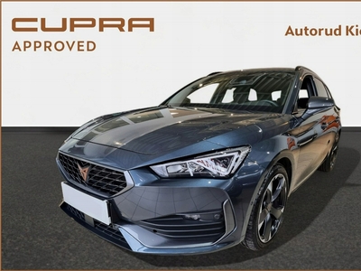 Cupra 2022