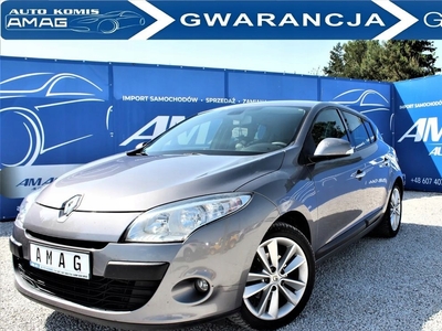 Renault Megane III Hatchback 1.5 dCi 110KM 2010