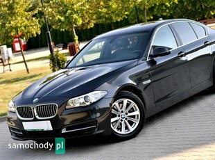 BMW 5 Seria 518d Business Edition sport