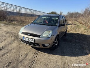 Ford Fiesta 1.4 TDCi 5D z Hakiem Doinwestowany