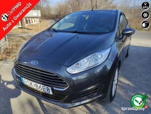 Ford Fiesta Zadbany ! Ekonomiczny ! Polecam... Mk7 (2008-)