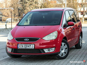 Ford Galaxy 2.0_Diesel_130KM_223 tyś. km Mk3 (2006-2015)