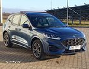 Używany Ford Kuga 2023