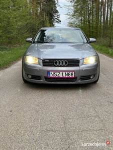 Audi a3 8p 1.9TDI