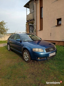 Audi A3 8P 2003r. 1.6mpi