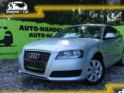 Audi A3 8P Hatchback 3d 1.4 TFSI 125KM 2010