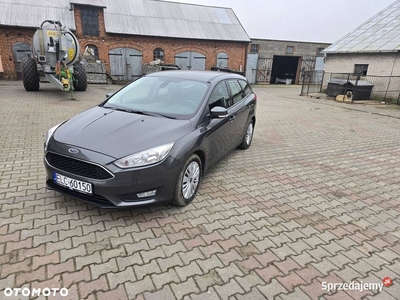 Ford Focus Polski salon