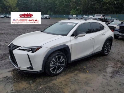 Lexus 2020