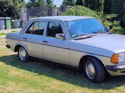 Mercedes W123 230E