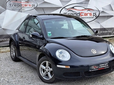 Volkswagen New Beetle 2008