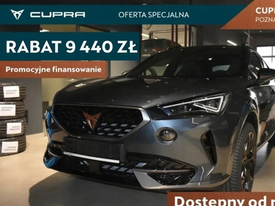 Cupra 2024