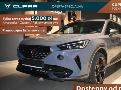 Cupra 2024