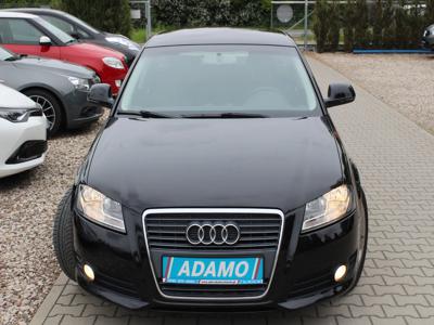 Używane Audi A3 - 32 900 PLN, 267 200 km, 2010