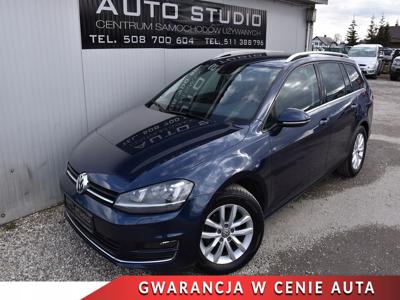 Volkswagen Golf VII 2013