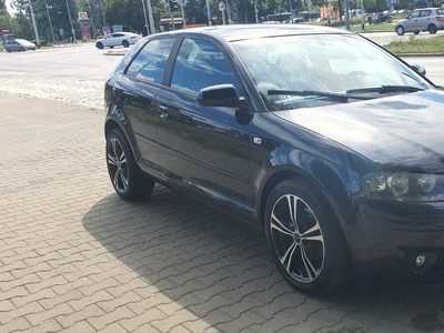 Audi A3 8P Hatchback 3d 1.9 TDI 105KM 2005