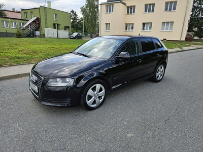 Audi A3 8P Hatchback 3d 1.9 TDI 105KM 2008