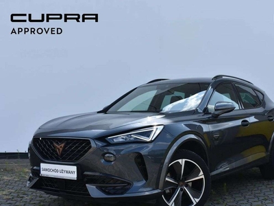 Cupra 2023