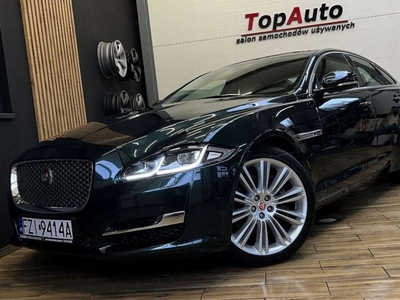 Jaguar XJ VII X351 2015