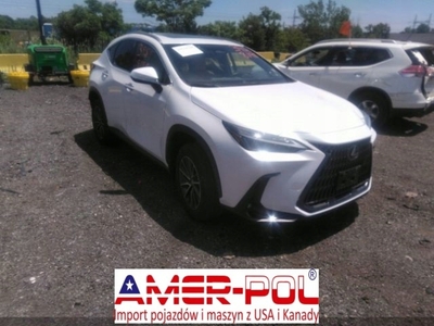 Lexus NX II 2022