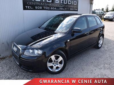 Audi A3 8P Hatchback 3d 1.6 102KM 2006