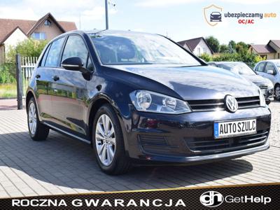 Volkswagen Golf VII Hatchback 3d 1.6 TDI-CR DPF 105KM 2013