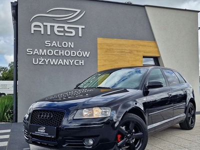 Audi A3 8P Hatchback 3d 1.9 TDI 105KM 2007