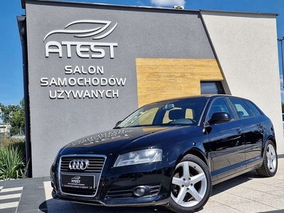 Audi A3 8P Hatchback 3d 1.9 TDI 105KM 2009