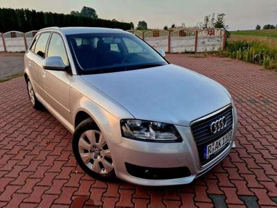 Audi A3 8P Hatchback 3d 1.6 102KM 2009