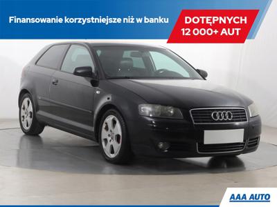 Audi A3 8P Hatchback 3d 1.9 TDI 105KM 2004