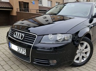 Audi A3 8P 2005r 1.6 MPI - bdb stan techn, alufelgi, klima