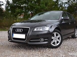 AUDI A3_1.6_8V_102_KM_MPI_LPG_99.tys! _SALON POLSKA_BEZWYP_ORYG!