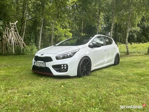 Kia ceed gt