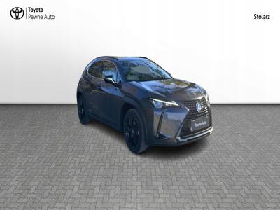 Lexus 2022