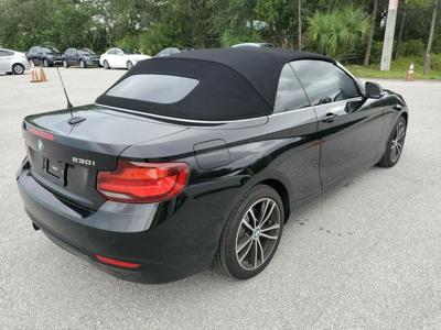 2020 BMW 2 Series 230i xDrive Convertible