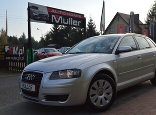 Audi A3 II (8P) 2,0TDI-140KM Navi,Klimatronik, Alufelgi...