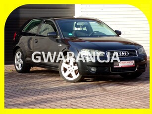 Audi A3 II (8P) BI XENON /Klimatronic /1,6 /MPI /2004