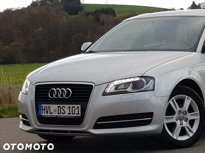 Audi A3 1.6 TDI Sportback DPF Attraction