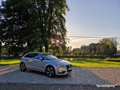 Audi A3 8V--> 2.0 TDI --> Ambition -Bardzo ładna - serwis -