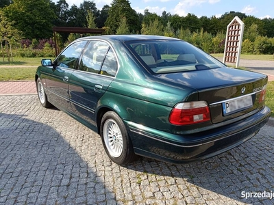 BMW 520d E39 2003r. 136KM - bardzo zadbany