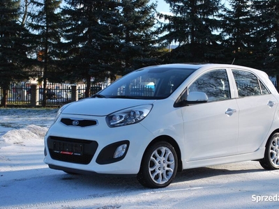 Kia Picanto Wersja XR Klima Podgrzewana kierownica i fotele