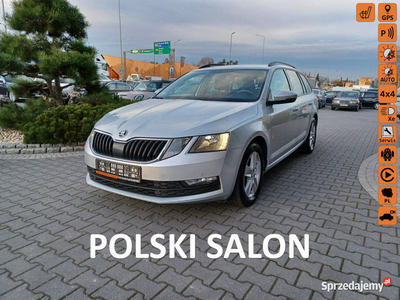 Škoda Octavia Salon Polska, 4x4 ,manual,benzynka,navi,kamer…