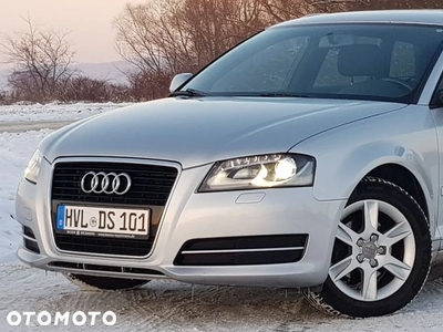 Audi A3 1.6 TDI Sportback DPF Attraction